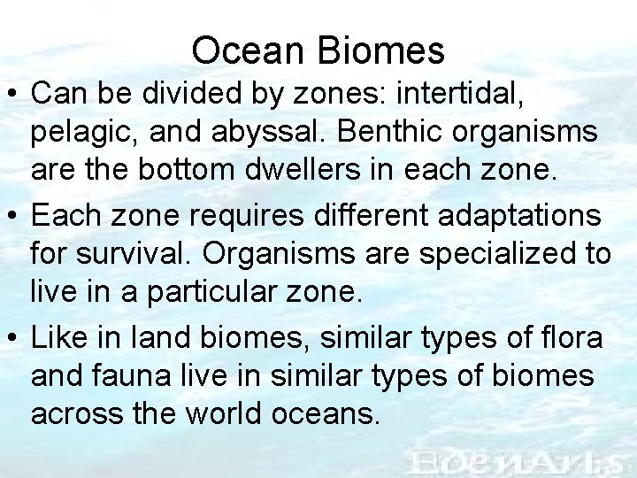 Ocean Biomes • Can be divided by zones: intertidal, pelagic, and abyssal. Benthic organisms