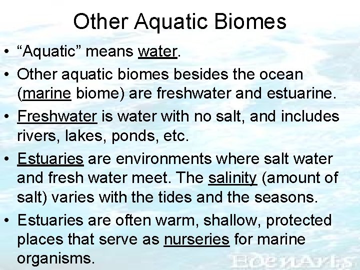 Other Aquatic Biomes • “Aquatic” means water. • Other aquatic biomes besides the ocean