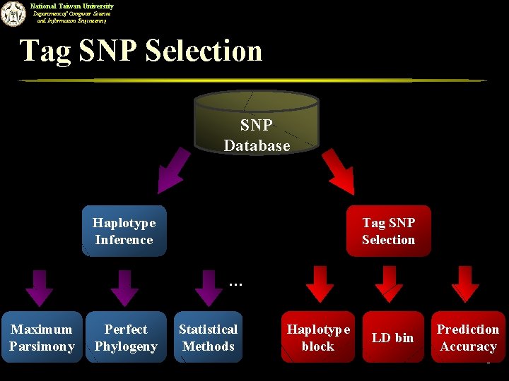 Snp Computer National Taiwan University Department of Computer Science and