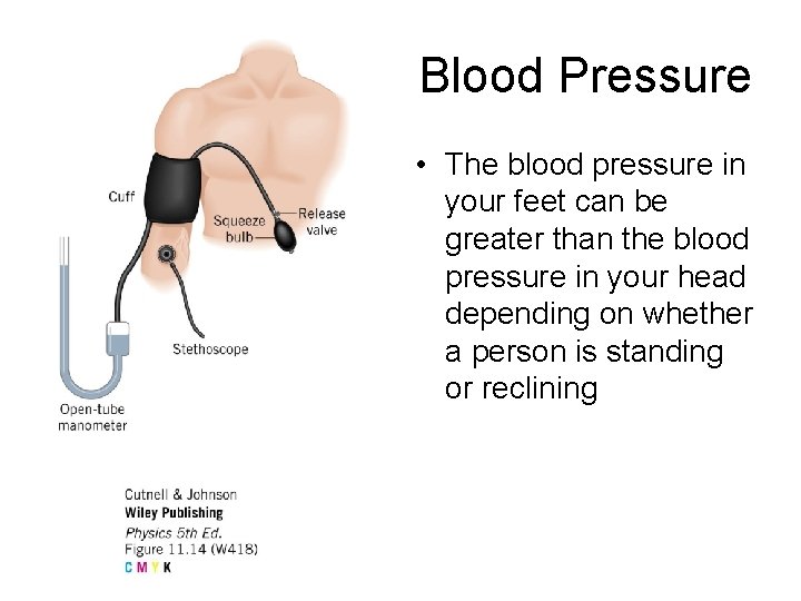 Blood Pressure • The blood pressure in your feet can be greater than the