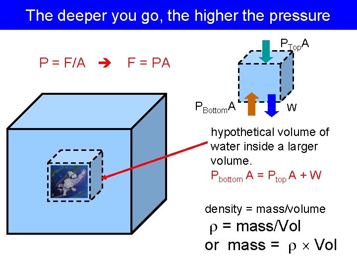 The deeper you go, the higher the pressure PTop. A P = F/A F