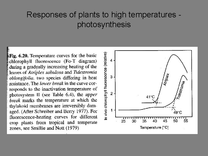 Responses of plants to high temperatures photosynthesis 
