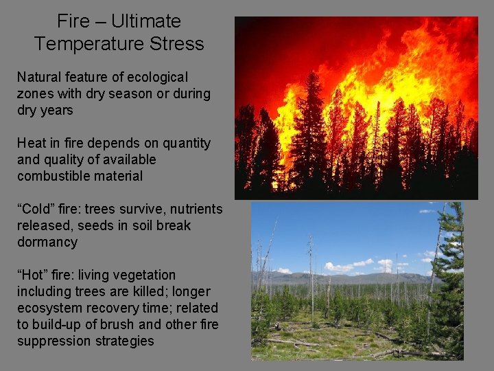 Fire – Ultimate Temperature Stress Natural feature of ecological zones with dry season or