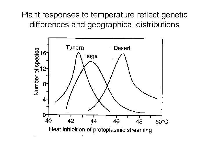 Plant responses to temperature reflect genetic differences and geographical distributions 