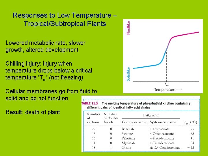 Responses to Low Temperature – Tropical/Subtropical Plants Lowered metabolic rate, slower growth, altered development