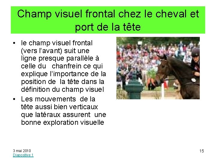 Champ visuel frontal chez le cheval et port de la tête • le champ