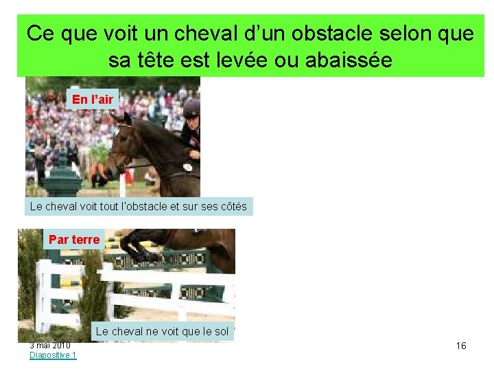 Ce que voit un cheval d’un obstacle selon que sa tête est levée ou