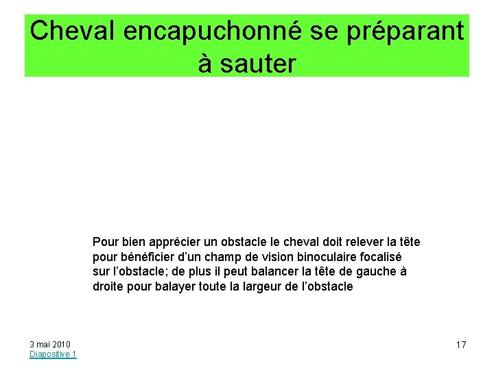 Cheval encapuchonné se préparant à sauter Pour bien apprécier un obstacle le cheval doit