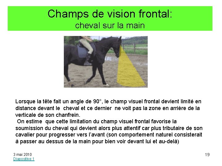 Champs de vision frontal: cheval sur la main Lorsque la tête fait un angle