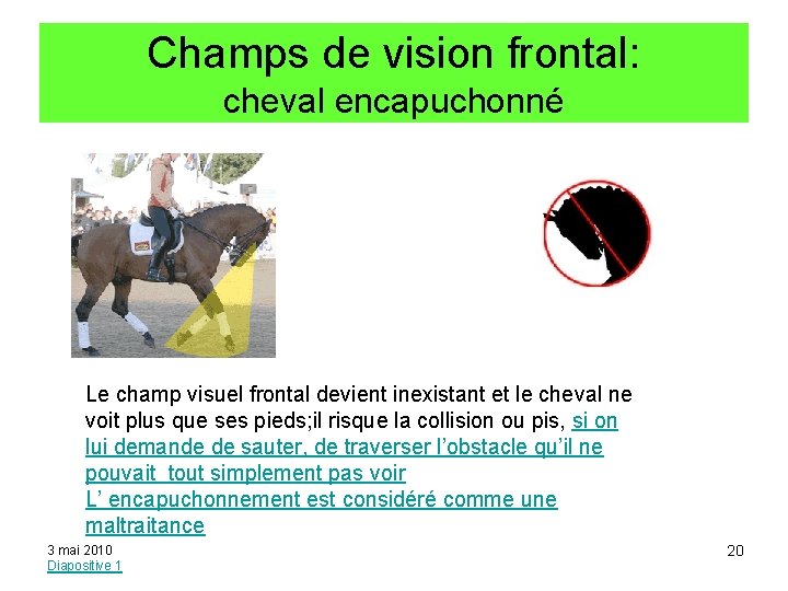 Champs de vision frontal: cheval encapuchonné Le champ visuel frontal devient inexistant et le