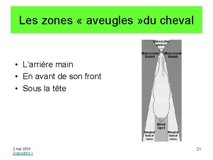 Les zones « aveugles » du cheval • L’arrière main • En avant de