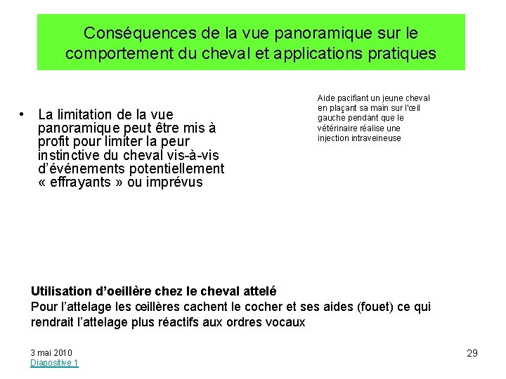 Conséquences de la vue panoramique sur le comportement du cheval et applications pratiques •