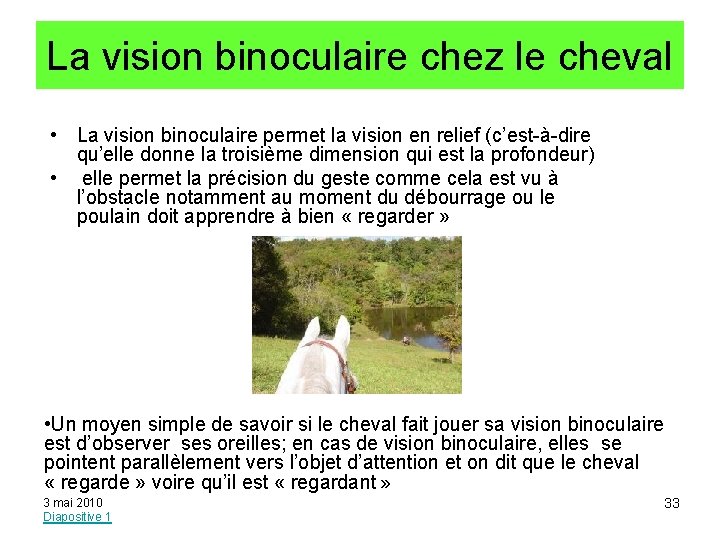 La vision binoculaire chez le cheval • La vision binoculaire permet la vision en