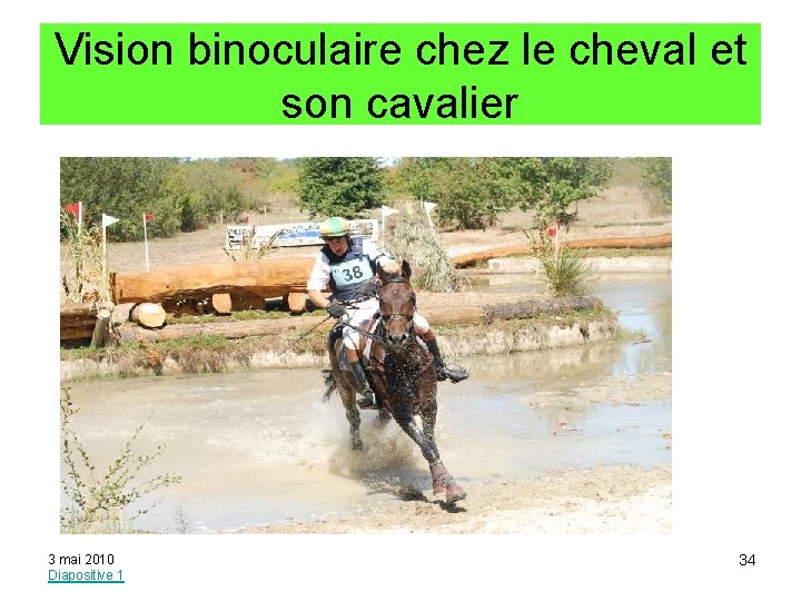 Vision binoculaire chez le cheval et son cavalier 3 mai 2010 Diapositive 1 34