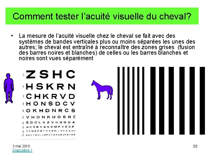 Comment tester l’acuité visuelle du cheval? • La mesure de l’acuité visuelle chez le