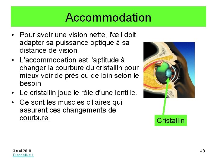 Accommodation • Pour avoir une vision nette, l'œil doit adapter sa puissance optique à