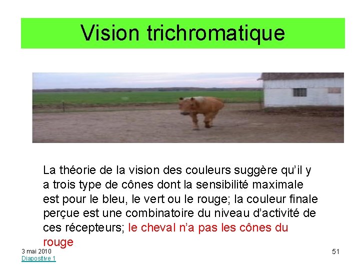 Vision trichromatique La théorie de la vision des couleurs suggère qu’il y a trois