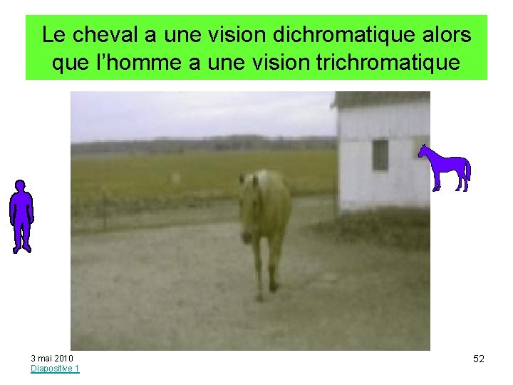 Le cheval a une vision dichromatique alors que l’homme a une vision trichromatique 3