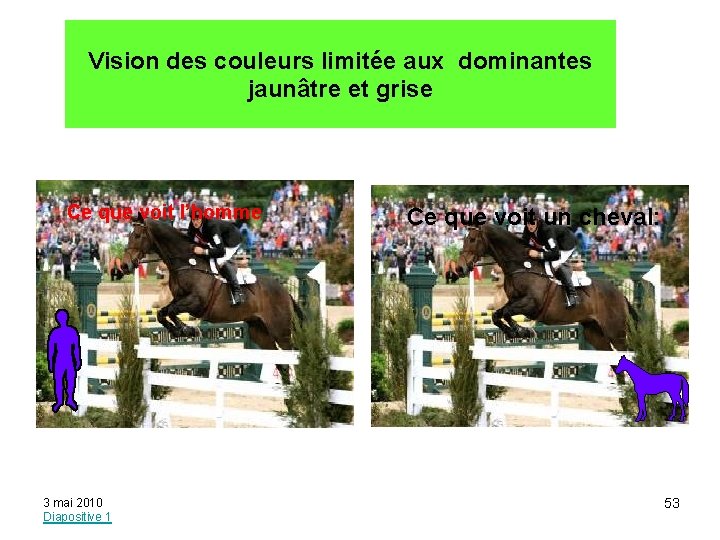 Vision des couleurs limitée aux dominantes jaunâtre et grise Ce que voit l’homme 3