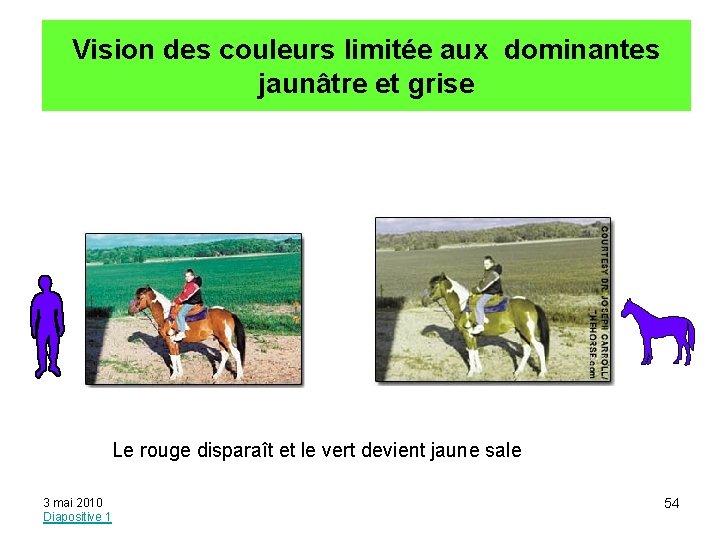 Vision des couleurs limitée aux dominantes jaunâtre et grise Le rouge disparaît et le