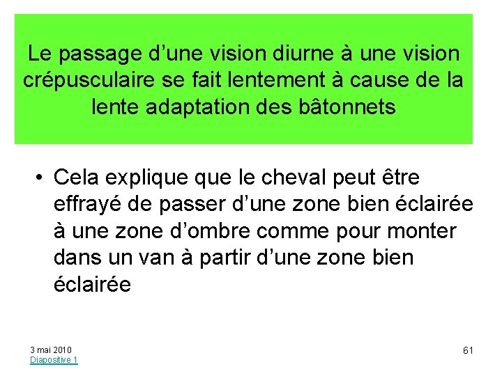 Le passage d’une vision diurne à une vision crépusculaire se fait lentement à cause