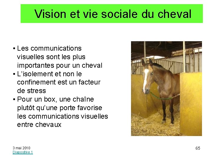  Vision et vie sociale du cheval • Les communications visuelles sont les plus