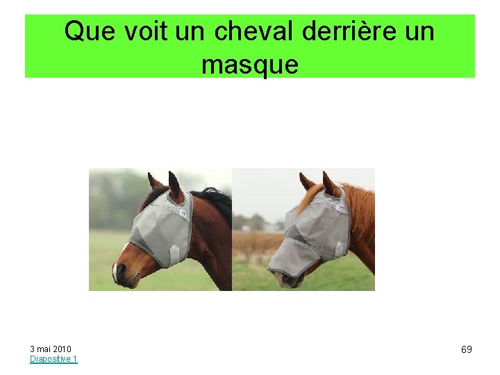 Que voit un cheval derrière un masque 3 mai 2010 Diapositive 1 69 