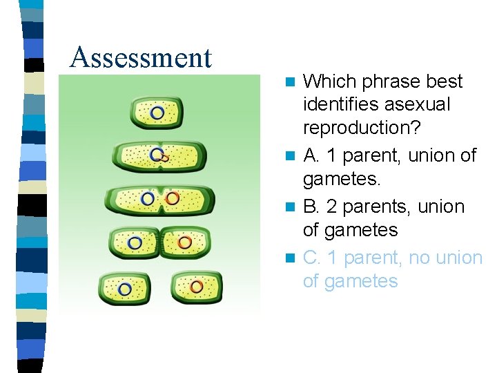 Assessment Which phrase best identifies asexual reproduction? n A. 1 parent, union of gametes.