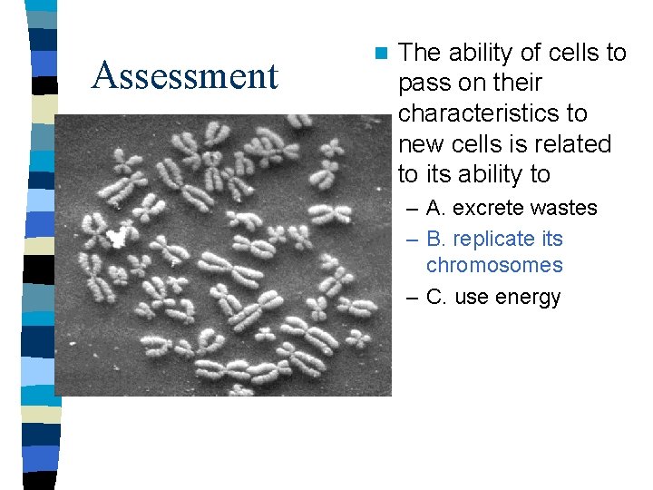 Assessment n The ability of cells to pass on their characteristics to new cells