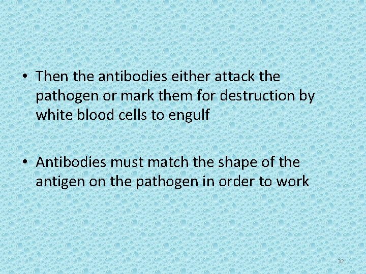  • Then the antibodies either attack the pathogen or mark them for destruction