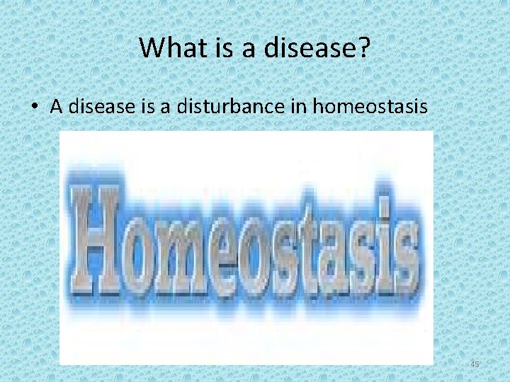 What is a disease? • A disease is a disturbance in homeostasis 45 