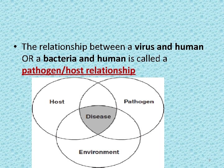  • The relationship between a virus and human OR a bacteria and human