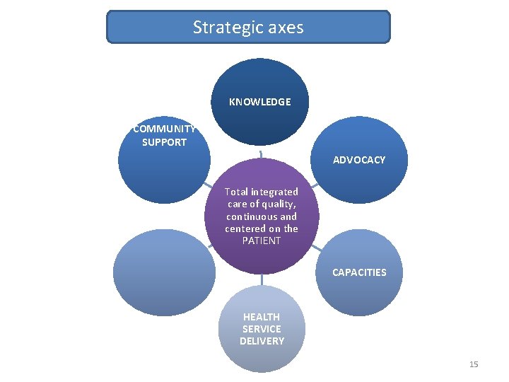 Strategic axes KNOWLEDGE COMMUNITY SUPPORT ADVOCACY REGULATION AND FINANCING Total integrated care of quality,