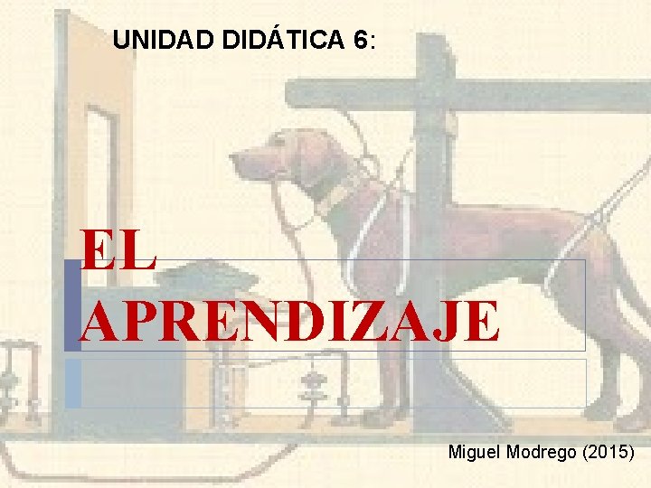 UNIDAD DIDÁTICA 6: EL APRENDIZAJE Miguel Modrego (2015) 