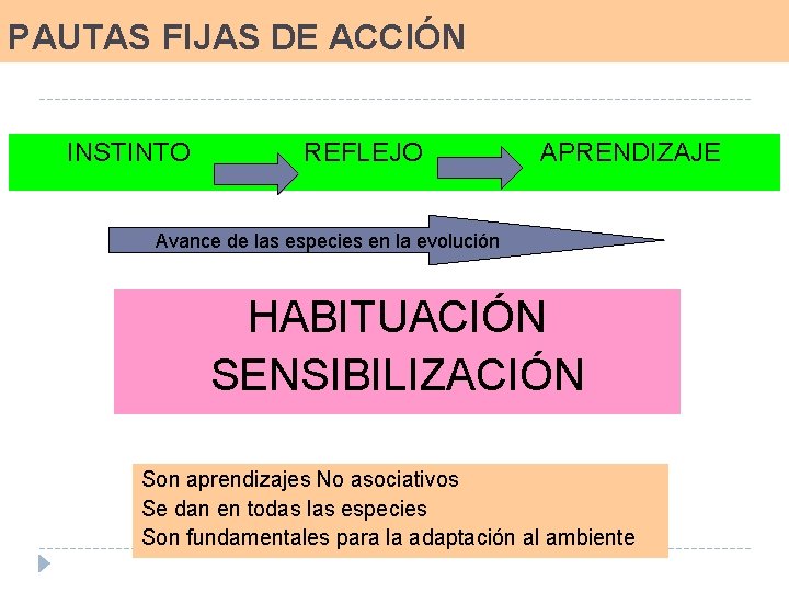 PAUTAS FIJAS DE ACCIÓN INSTINTO REFLEJO APRENDIZAJE Avance de las especies en la evolución