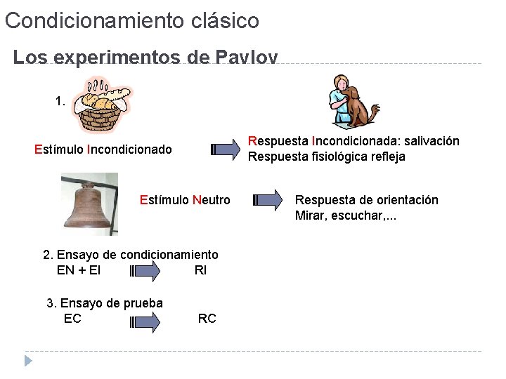 Condicionamiento clásico Los experimentos de Pavlov 1. Respuesta Incondicionada: salivación Respuesta fisiológica refleja Estímulo