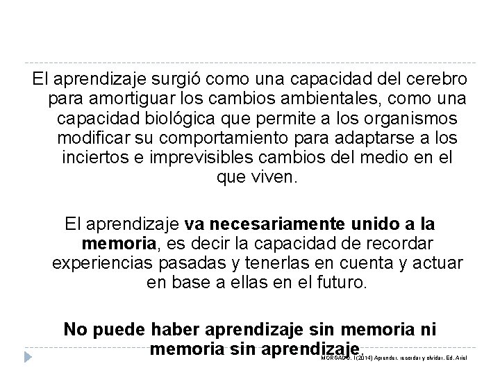 El aprendizaje surgió como una capacidad del cerebro para amortiguar los cambios ambientales, como