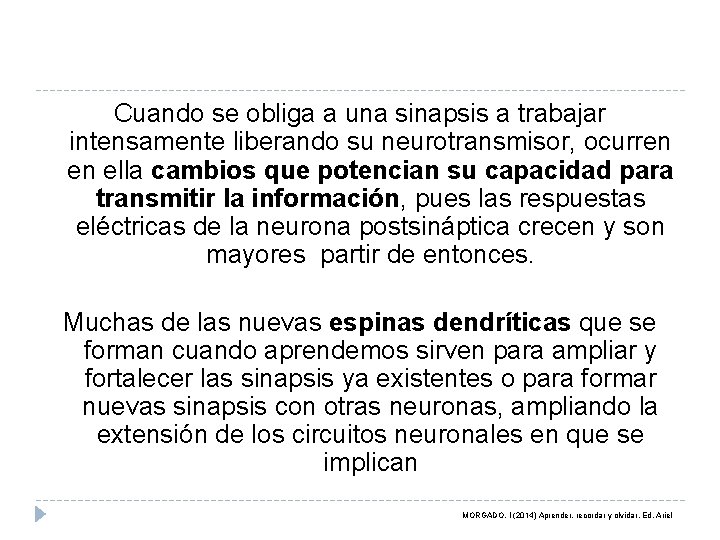 Cuando se obliga a una sinapsis a trabajar intensamente liberando su neurotransmisor, ocurren en