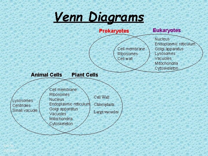 Venn Diagrams Prokaryotes Cell membrane Ribosomes Cell wall Animal Cells Lysosomes Centrioles Small vacuole