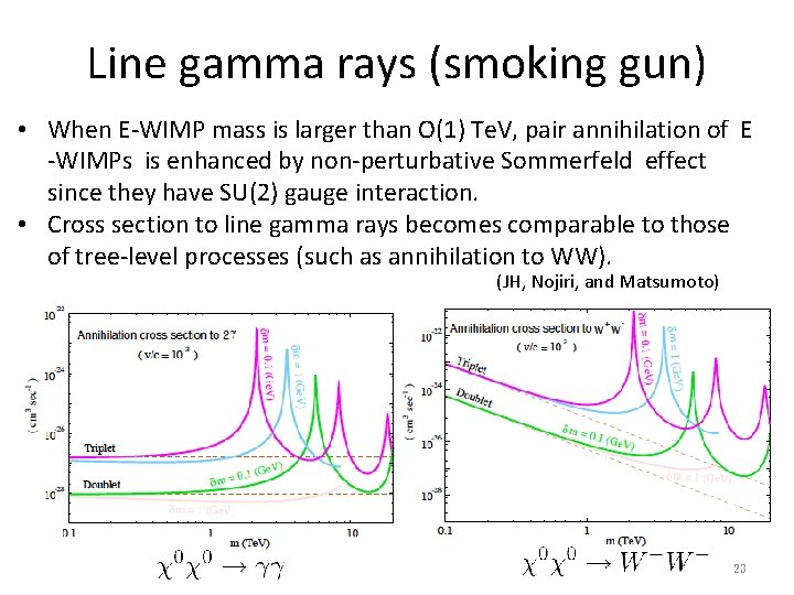 Line gamma rays (smoking gun) • When E-WIMP mass is larger than O(1) Te. Line gamma rays (smoking gun) • When E-WIMP mass is larger than O(1) Te.