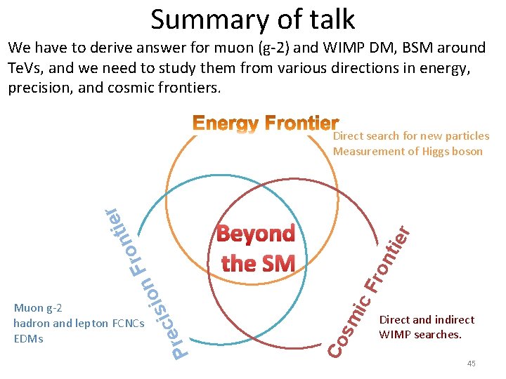 Summary of talk We have to derive answer for muon (g-2) and WIMP DM, Summary of talk We have to derive answer for muon (g-2) and WIMP DM,