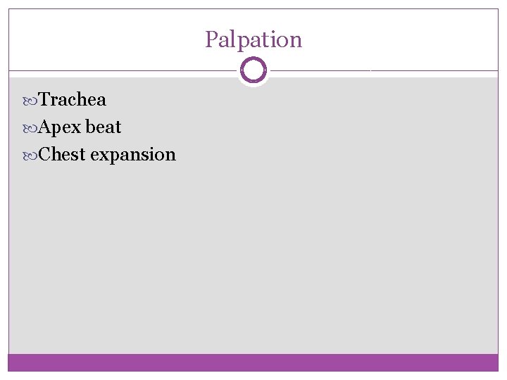 Palpation Trachea Apex beat Chest expansion 