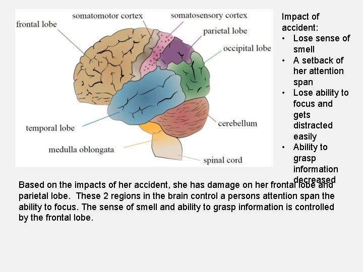 Impact of accident: • Lose sense of smell • A setback of her attention