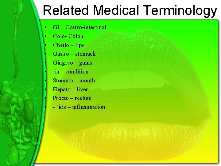 Related Medical Terminology • • • GI – Gastro-intestinal Colo- Colon Cheilo – lips