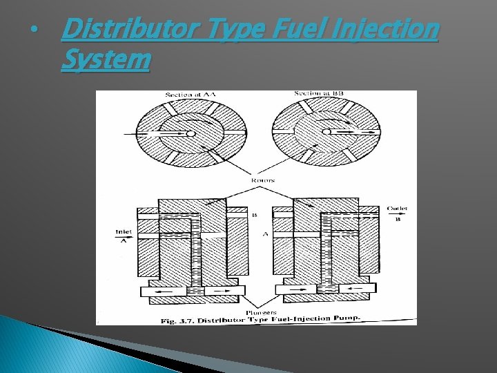  • Distributor Type Fuel Injection System 