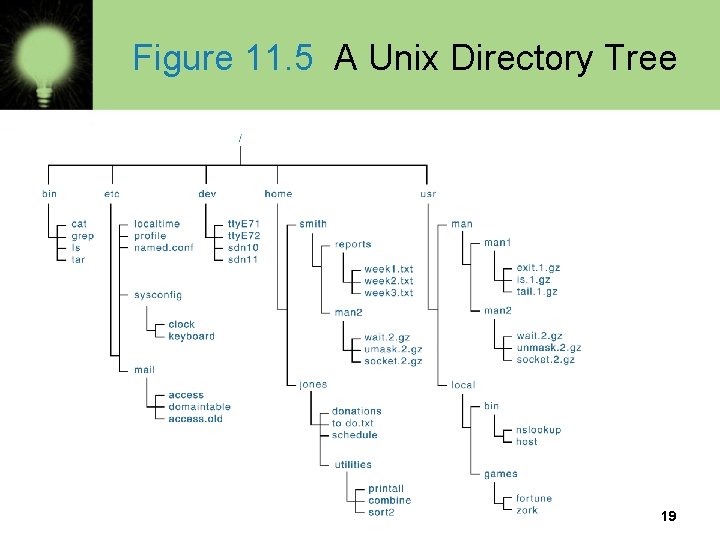 Figure 11. 5 A Unix Directory Tree 19 
