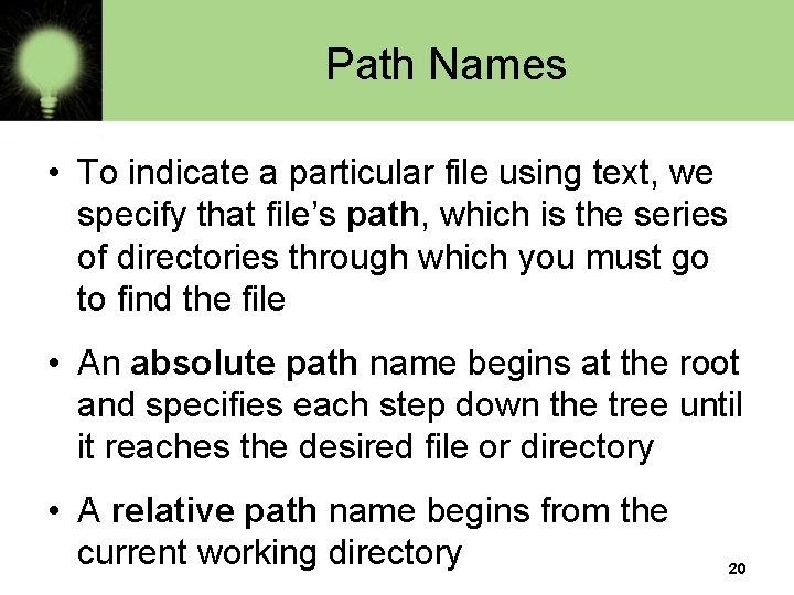 Path Names • To indicate a particular file using text, we specify that file’s