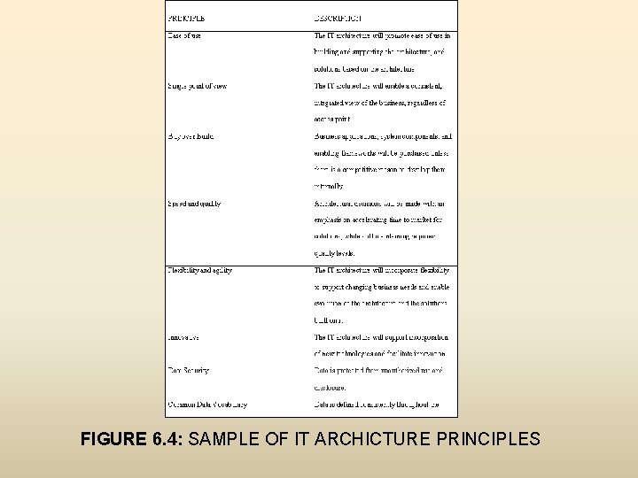 FIGURE 6. 4: SAMPLE OF IT ARCHICTURE PRINCIPLES 