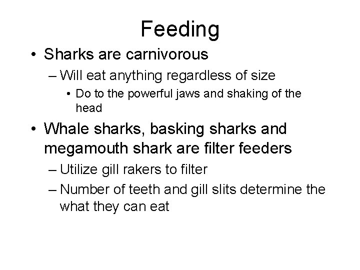 Feeding • Sharks are carnivorous – Will eat anything regardless of size • Do