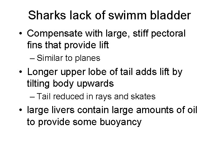 Sharks lack of swimm bladder • Compensate with large, stiff pectoral fins that provide